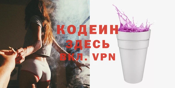 крисы Абаза