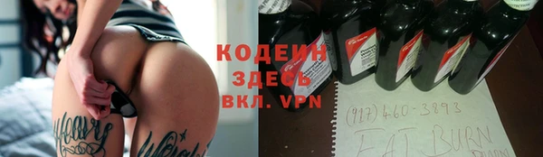 крисы Абаза