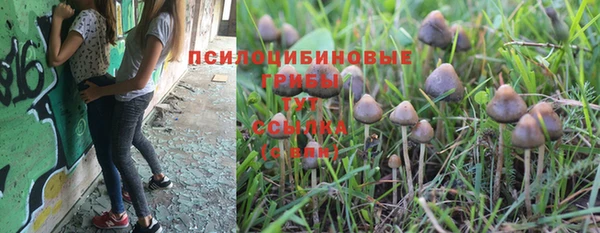 трава Абинск