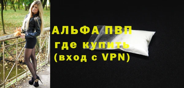 крисы Абаза
